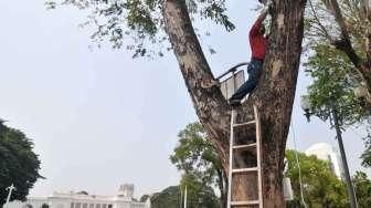 Pemasangan CCTV di Depan Istana