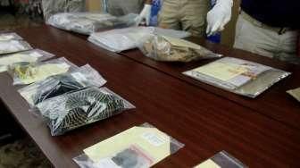 Tiga Bukti yang Menjerat Pembunuh Keji Bocah dalam Kardus