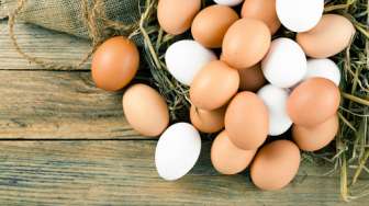 Studi: Konsumsi Telur Tiap Hari Tingkatkan Risiko Diabetes hingga 60 Persen