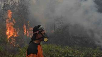 Dirut PT Dyera Hutan Lestari Jadi Tersangka Pembakar Hutan