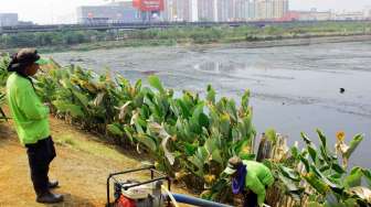 Penampakan Waduk Ria-Rio di kawasan Pulogadung, Jakarta Timur, Senin (2/11).