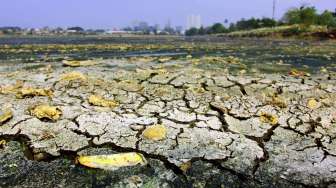 Waduk Ria-Rio Mengering