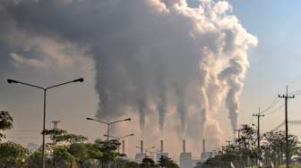 PBB: Kadar Karbon Dioksida Cetak Rekor Tertinggi di 2014