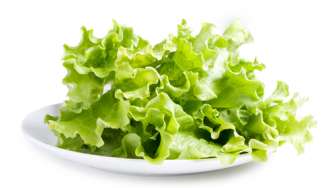 Manfaat Lettuce untuk Perawatan Kulit