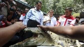 Selain Buaya, Piranha Juga Akan Jaga Lapas Khusus Bandar Narkoba