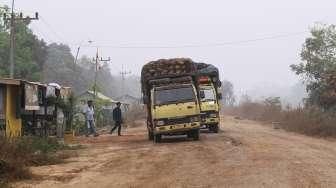 Dana Perkebunan Sawit Dikritik Hanya Dinikmati Industri Sawit