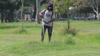 Taman Rusak Akibat Tahun Baru di Jakarta Berkurang