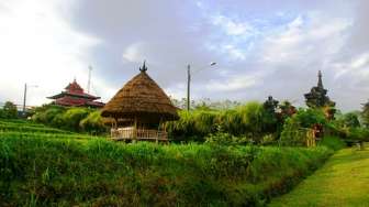 Asyiknya Menyusuri Kebun Kopi di Bali