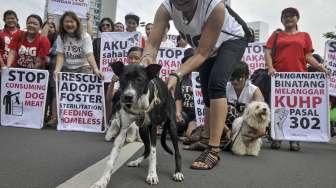 Sadis! 64 Anjing Ditemukan Terikat Mulut & Dikarungi di Gudang Banyuwangi