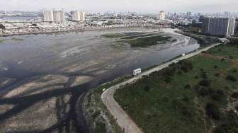 Endapan Sampah Waduk Pluit