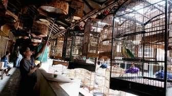 Pasar Burung Pramuka Akan Direlokasi