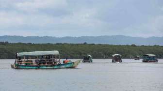 Ekowisata Mangrove Bedul