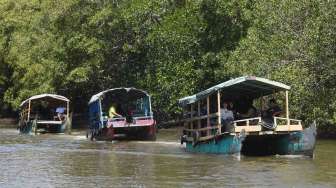 Syuting di Wisata Ekang Mangrove Bintan, Wahyu Indra Hanyut