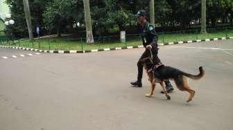 Mudik di Papua, Anjing Pelacak Cari Bom di Pelabuhan dan Bandara