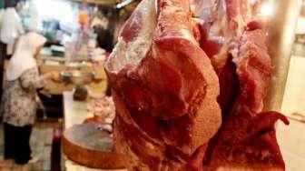 Hajatan Suguhkan Daging Sapi Mati Mendadak, Antraks Tersebar di Gunungkidul