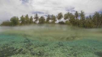 Keindahan Tersembunyi di Utara Papua