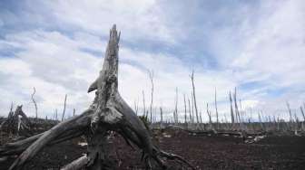 Keindahan Tersembunyi di Utara Papua