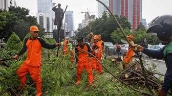 Pohon Tumbang di Jalan Sudirman