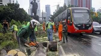 Pohon Tumbang di Jalan Sudirman