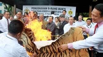 Pemusnahan Barang Bukti Kulit Satwa