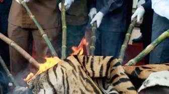 Pemusnahan Barbuk Kulit Satwa Langka