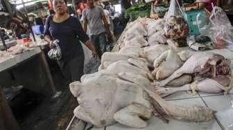 Harga Ayam Potong Turun