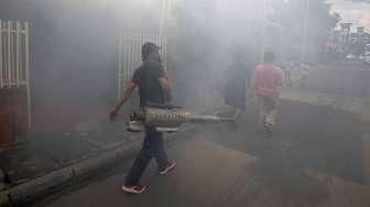 "Fogging" Tak Efektif Cegah Penyebaran DBD?