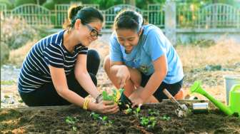 Ini Tiga Manfaat Berkebun di Rumah