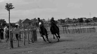 Pacu Kuda Tradisional Jeneponto