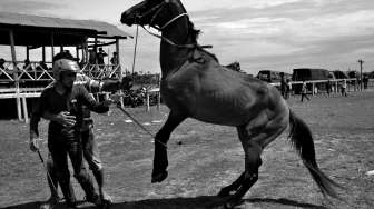 Pacu Kuda Tradisional Jeneponto