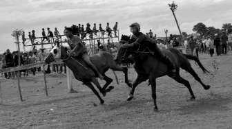 Pacu Kuda Tradisional Jeneponto