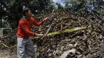 PLN Ragukan Sampah Kulit Kabel di Gorong-Gorong  Merdeka Selatan
