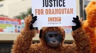 Tuntut Penindakan Pembakar Orangutan