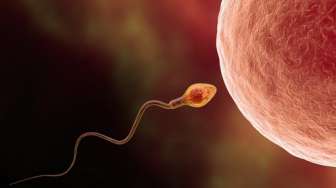 Bahaya! Berikut 4 Kebiasaan Merusak Kualitas Sperma