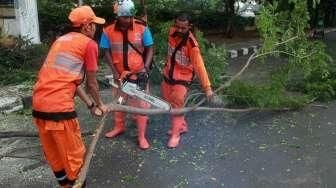 Antisipasi Pohon Tumbang