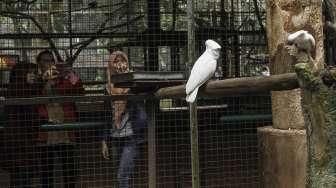 Warga memanfaatkan hari libur Paskah dengan mengunjungi lokasi wisata Kebun Binatang Ragunan di Jakarta, Jumat (25/2/2016). [Suara.com/Kurniawan Mas'ud]