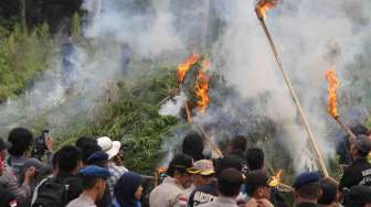 Polri Musnahkan Ladang Ganja Aceh