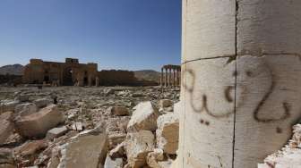 Mengerikan, Kuburan Massal Korban ISIS Ditemukan di Palmyra