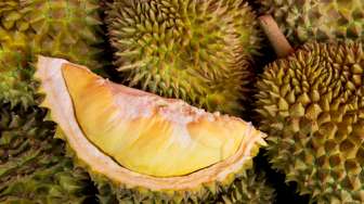 Alasan Buah Durian Berbau Busuk