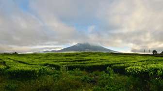 Jalur Pendakian Gunung Kerinci Lewat Solok Selatan Akan Dibuka Lagi