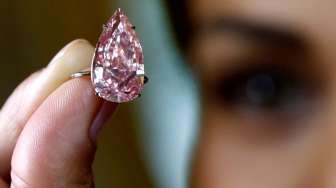 Berlian Pink Dilelang 500 Miliar