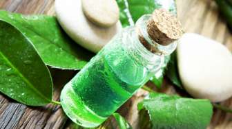 Ini Manfaat Tea Tree Oil di Rumah