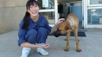 Stres Karena Eutanasia 700 Anjing, Dokter Hewan Ini Bunuh Diri