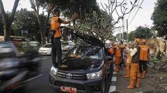 Pekerja PPSU DKI Jakarta membersihkan lokasi pembongkaran tempat usaha tanaman hias di atas trotoar di Jalan Asia-Afrika, Jakarta, Jumat (3/6/2016). [Suara.com/Kurniawan Mas'ud]