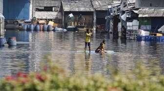 Banjir Rob di Muara Baru