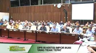 VIDEO: DPR Kritisi Impor Ikan yang Tidak Tepat