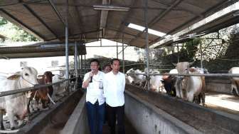 Harga Melonjak, Jokowi Tegaskan Harga Daging Ideal Rp80 Ribu