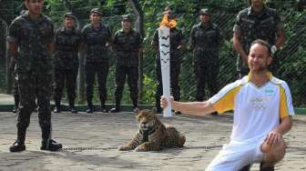 Kasihan, Jaguar Ditembak Mati Usai Acara Obor Olimpiade