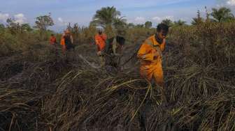 20 Hektar Lahan Terbakar di Teluk Meranti