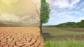 Mengerikan! Ini 7 Dampak Pemanasan Global Terhadap Lingkungan